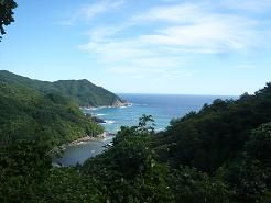 雌鹿3匹 単独牡鹿二回遭遇
