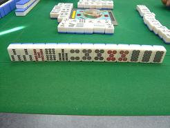 �꡼�����ѥɥ�1