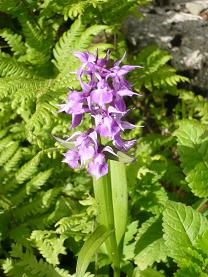 �ϥ�������ɥ�5