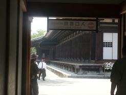 ��������Ʋ