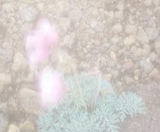 ���ޥ���