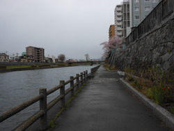 DSCN0590