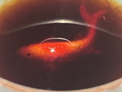 ���ġ����Į���ٳ�Ʋ (12)