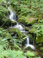 P���ıۤ���