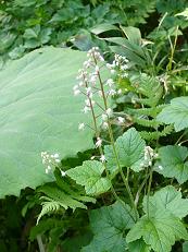 �����䥯����2