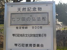 ��ˡ����Ω�ƻ�