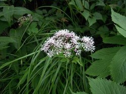 D���׎ώ������ˎߎݎ��ʎԎ���