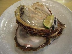 �䥬�����ߥ륭���ɥ���