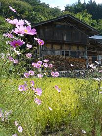 ��̱�Ȏ����ӎ�������