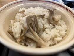 ÏÂµ× (9¤·¤á¤¸¤´ÈÓ