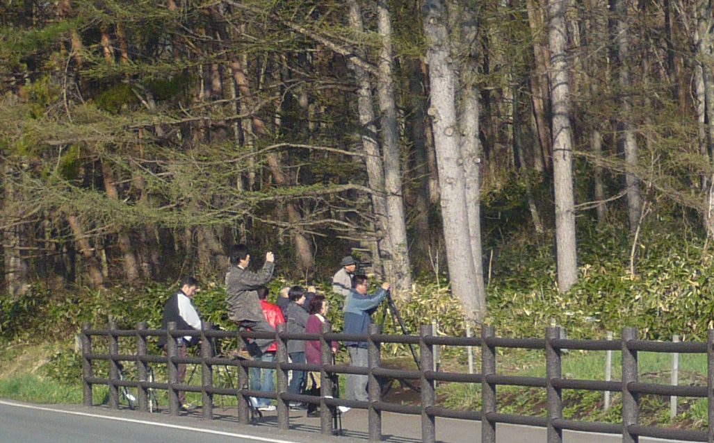 ���������ޥ�7��