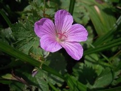 �ʎ����ݎ̎��ۡ���������