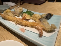 ʼ�˱������¿�Ʋ������� (9)