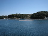 1091b468.jpg