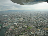 35850150.jpg