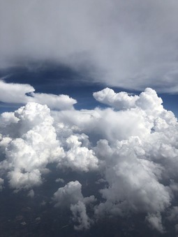 1202