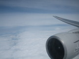47b774d0.JPG