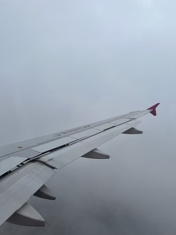 230317
