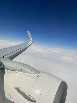 230711