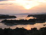 5207f41b.jpg
