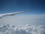 80965c15.JPG