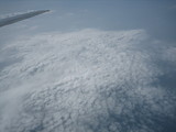 82eaf604.JPG