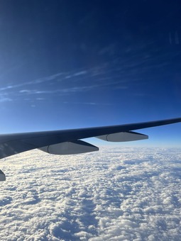 230515
