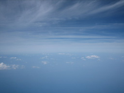 IMG_8878