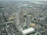 a1b9922f.jpg
