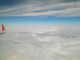 IMG00130