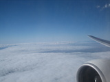 b4239f84.JPG