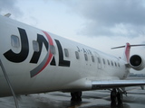 fcdfd985.JPG