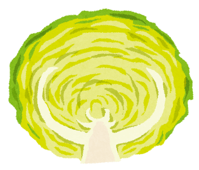 cut_vegetable_cabbage