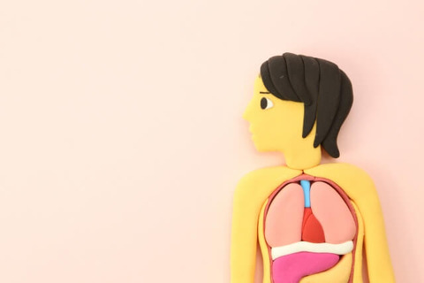 50160018b6d8581914150a2a2cf6d55a_s