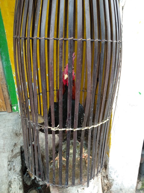 IMG20191223115716