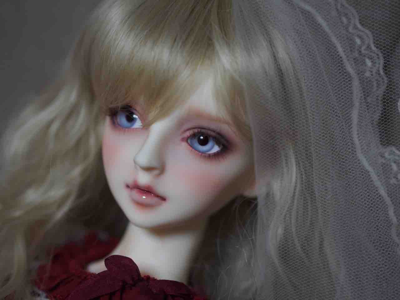 Dolls Box Dolls Box