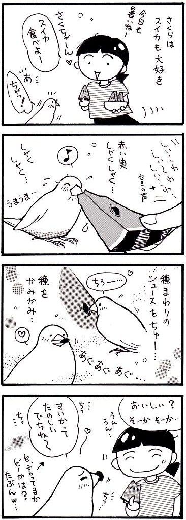 18　すいかっていいね！