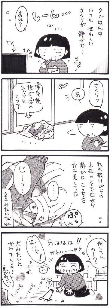 41見てるよー