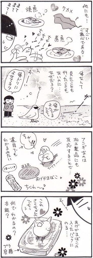 73 謎の海産物愛②