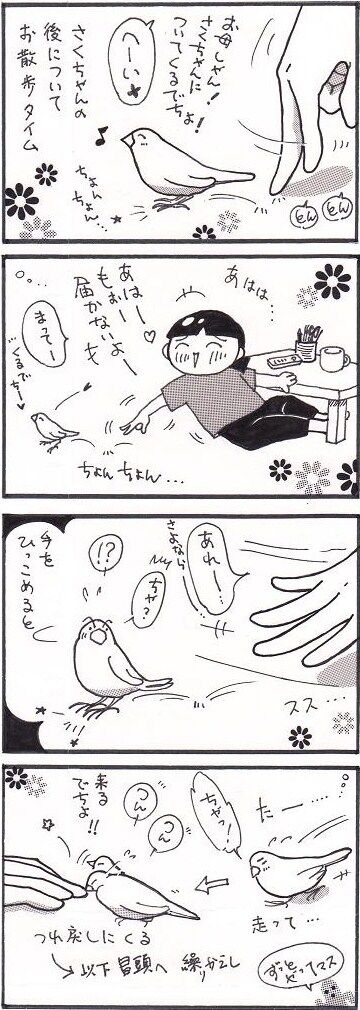 71 さく散歩