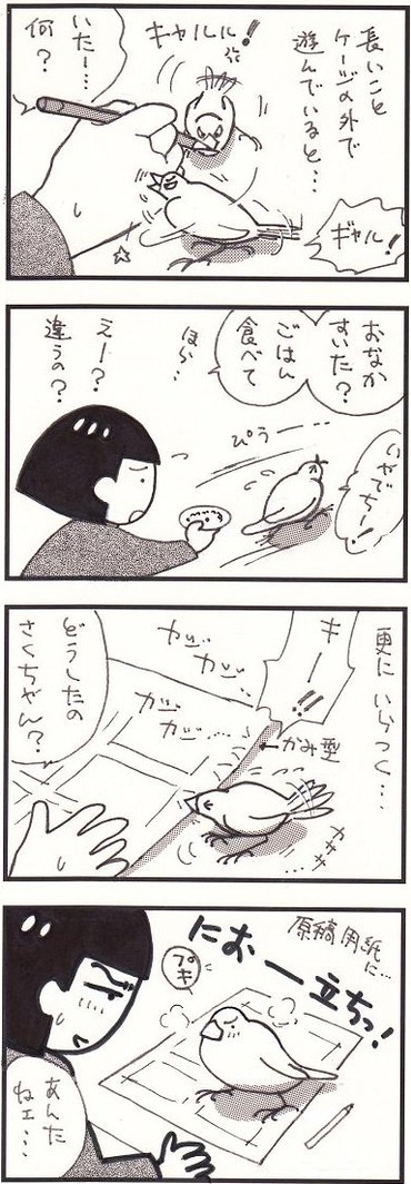 75何がしたいの①