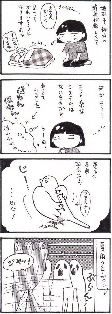 59 換羽を考える①