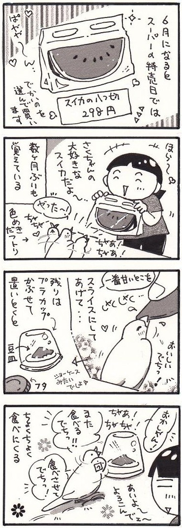 127西瓜の季節