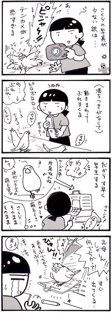 26 少ないんです