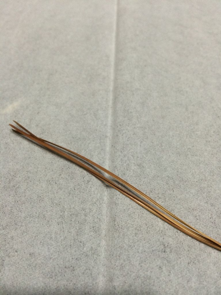三葉の松 ご利益 Ivuki 0867のblog 三葉の松 ご利益 Ivuki 0867のblog