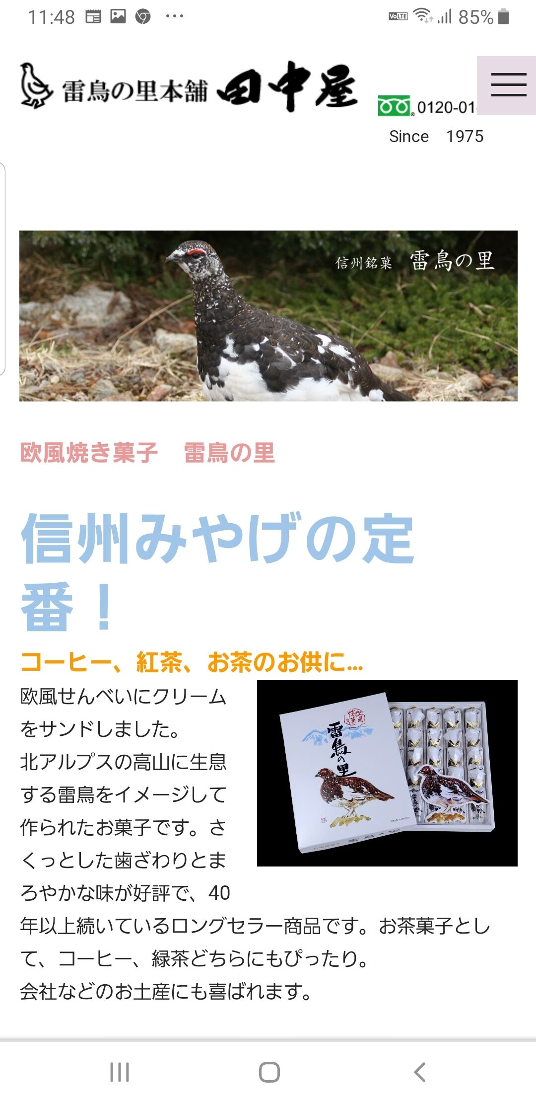昭和のお菓子 Ivuki邸の東の玄関 昭和のお菓子 Ivuki邸の東の玄関