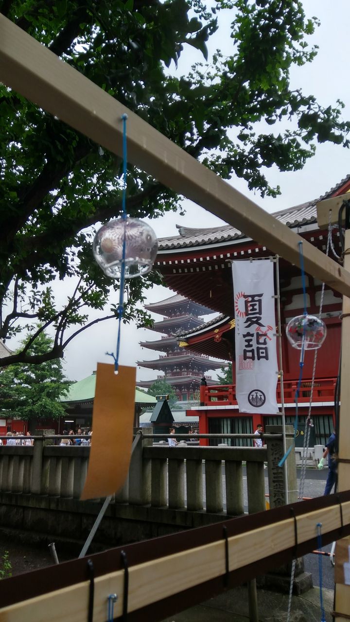 20190701_134934_HDR