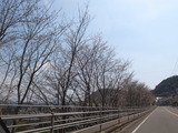 RIMG0076