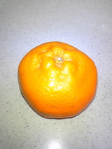 27f83b3e.jpg