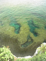 b9d579b7.jpg